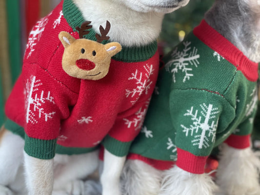 Sweater with Reindeer Brooch