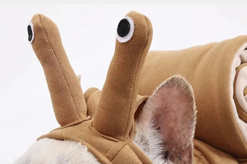 Cute Snail Costume