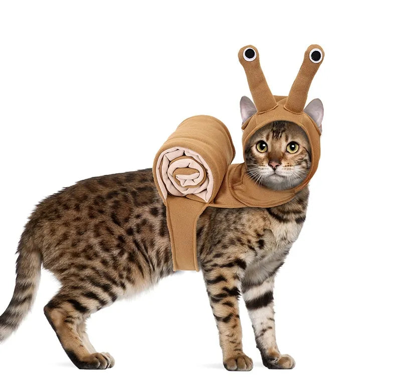 Cute Snail Costume