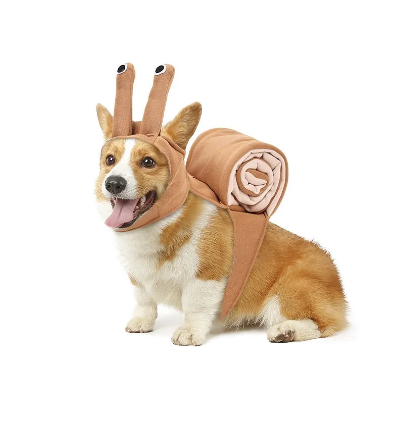 Cute Snail Costume