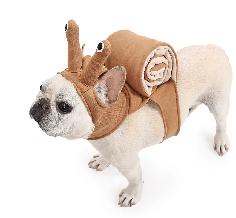 Cute Snail Costume