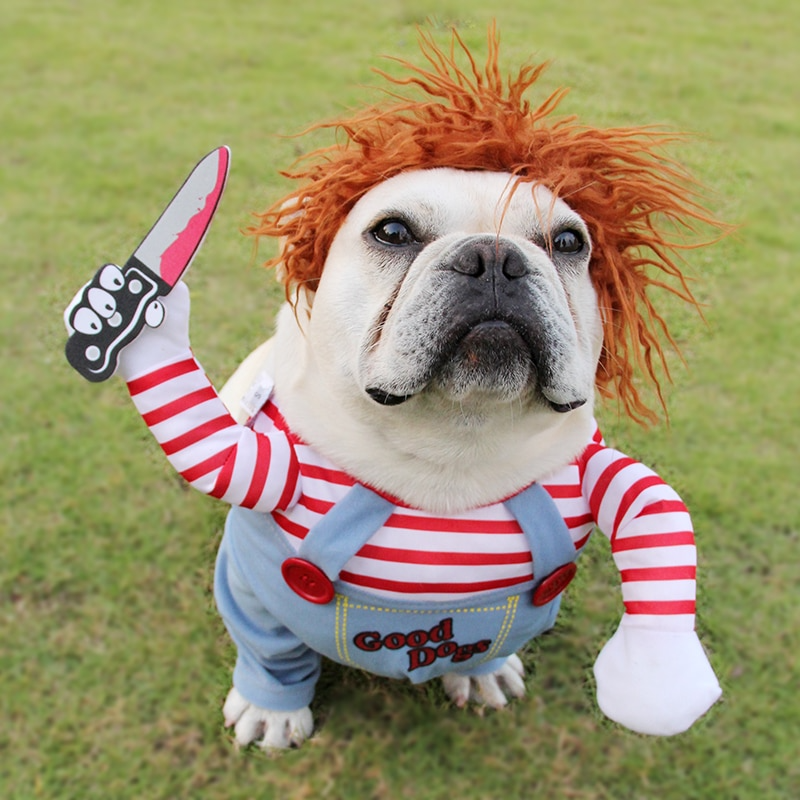 Chucky Dog Costume