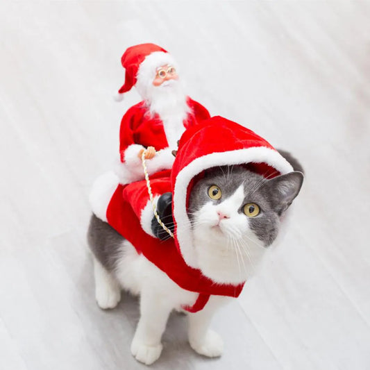 Santa Claus Costume