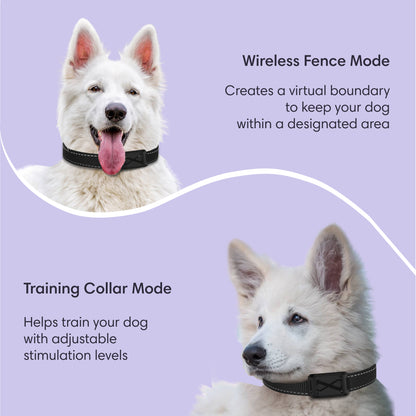 The Best Wireless Dog GPS Fence System