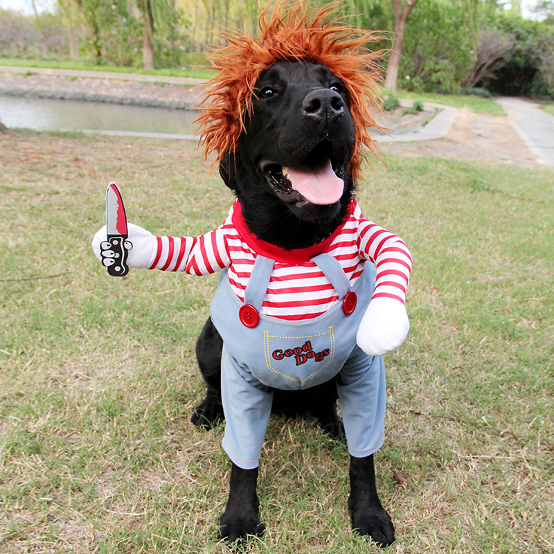 Chucky Dog Costume