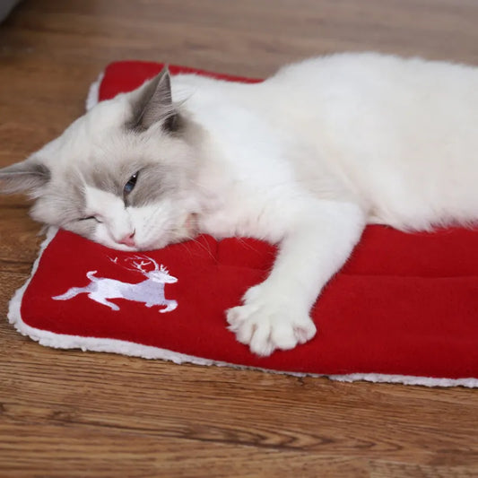 Super Soft Pet Mat