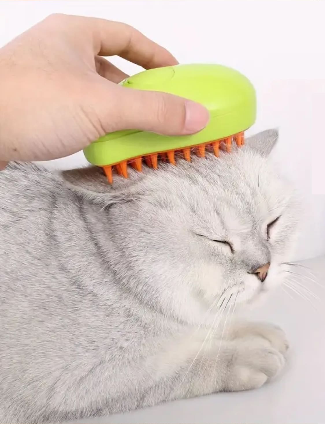 Pet Electric Spray Massage Comb