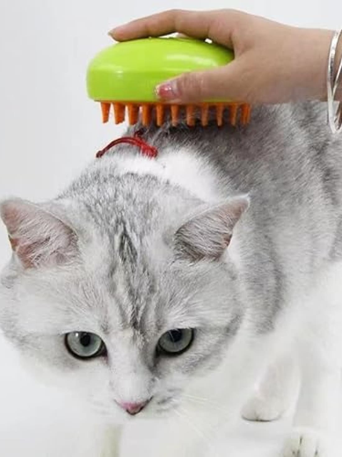 Pet Electric Spray Massage Comb