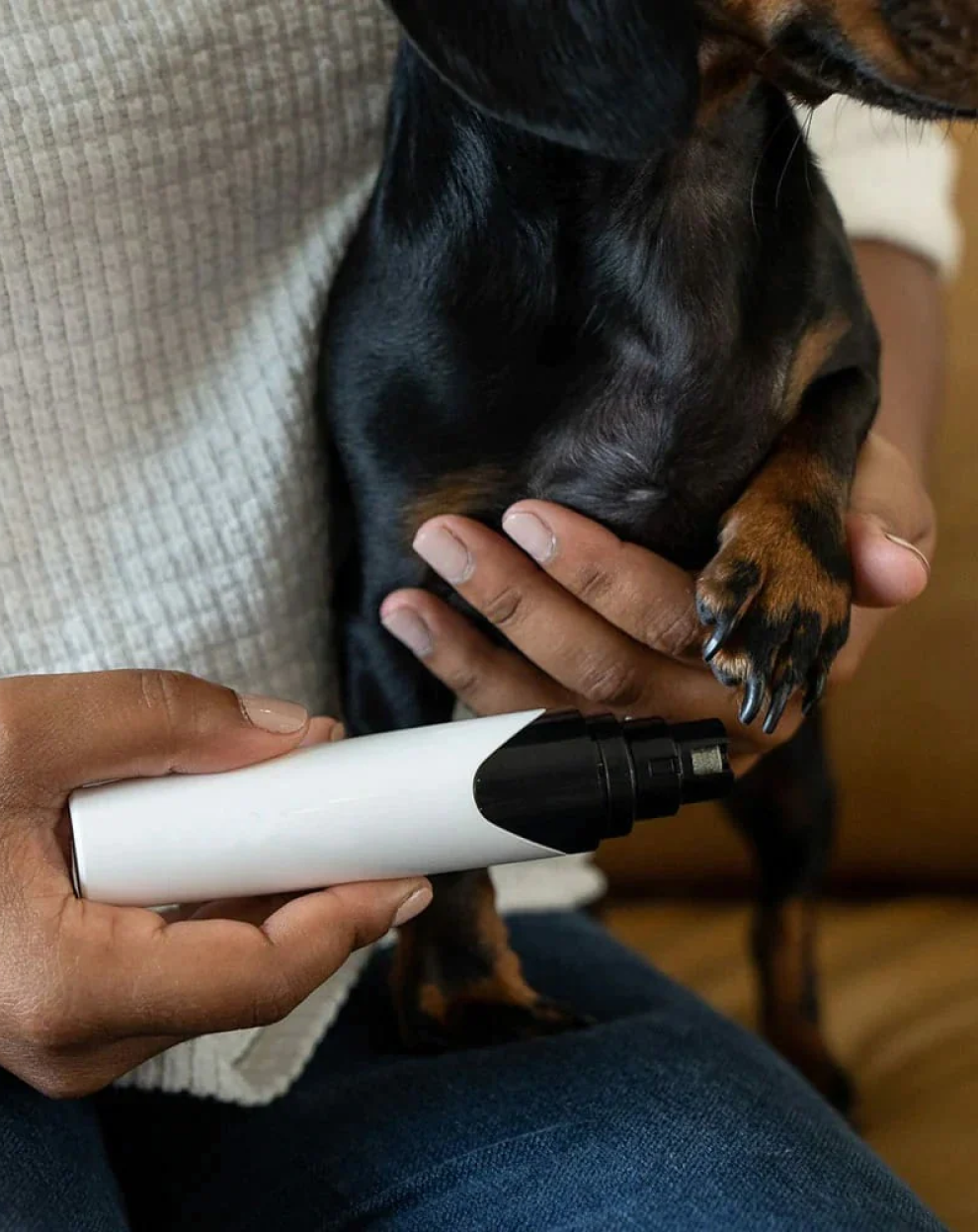 Pet nail grinder