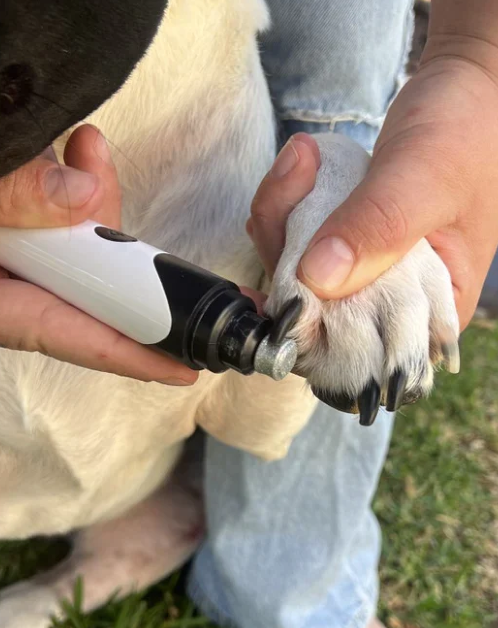 Pet nail grinder