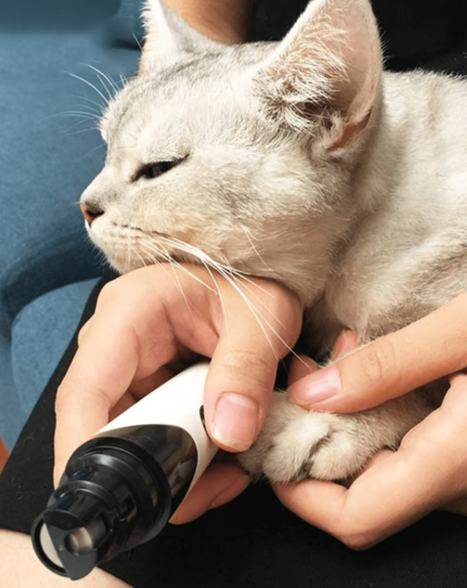 Pet nail grinder