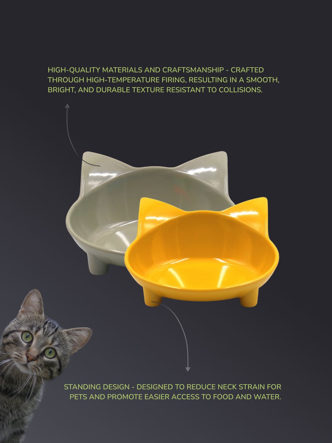 Cat bowl