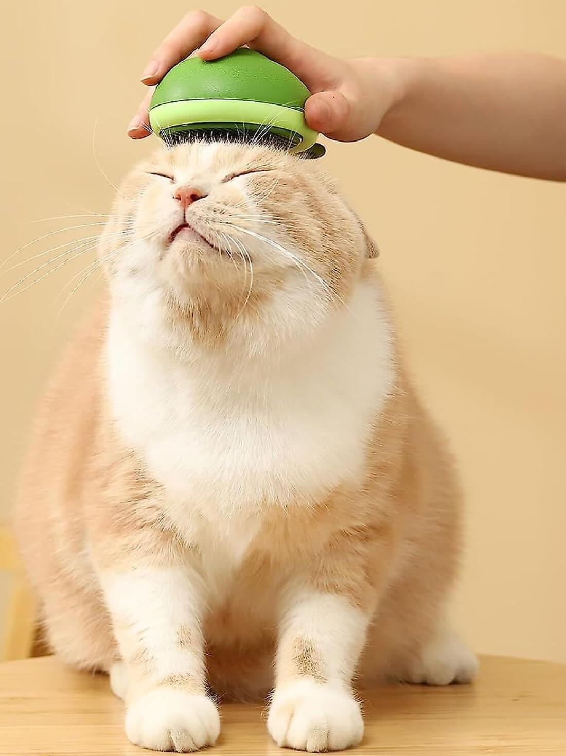 Self-Cleaning Cat Hair Brush