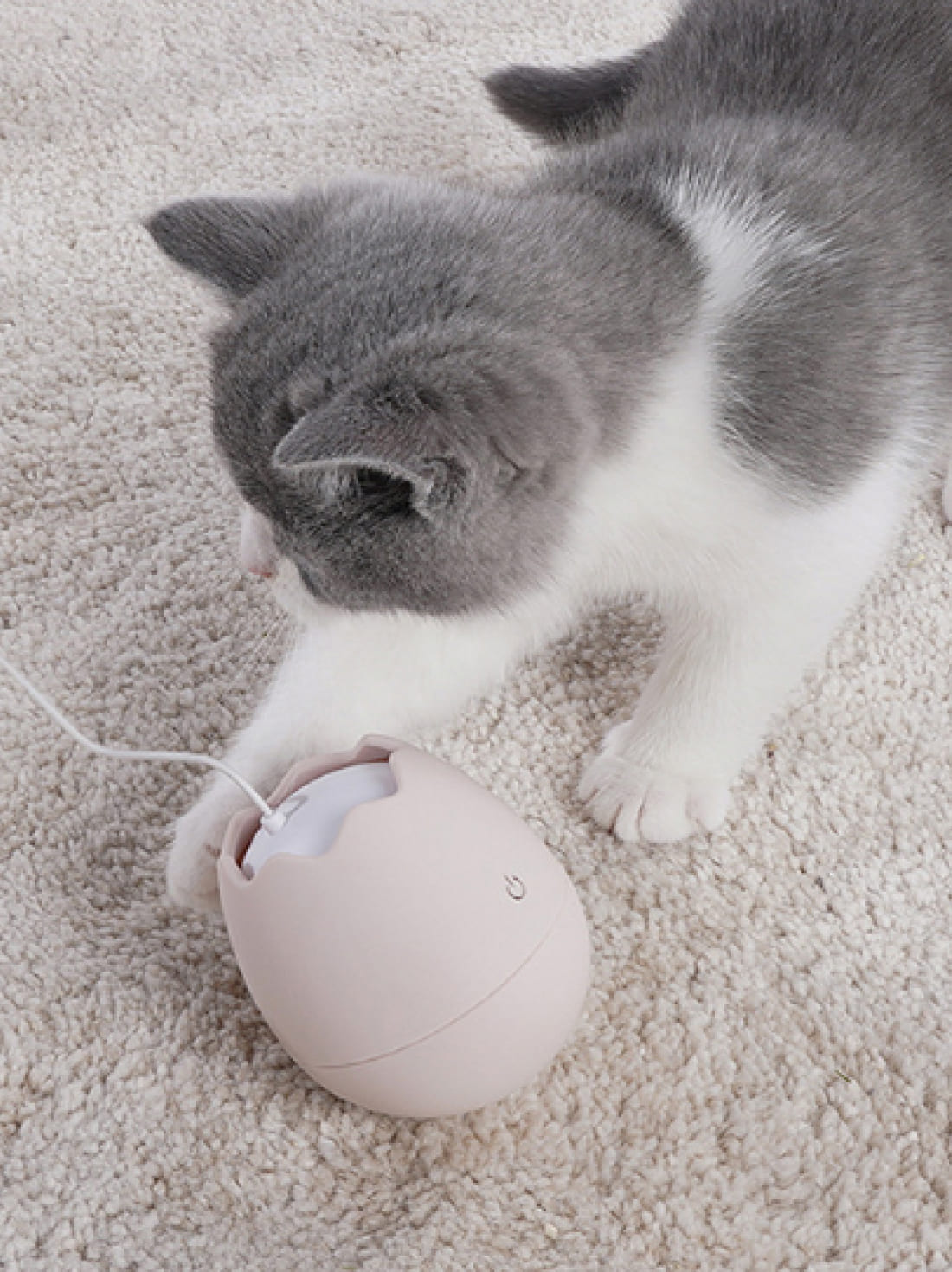 Cat toy Egg