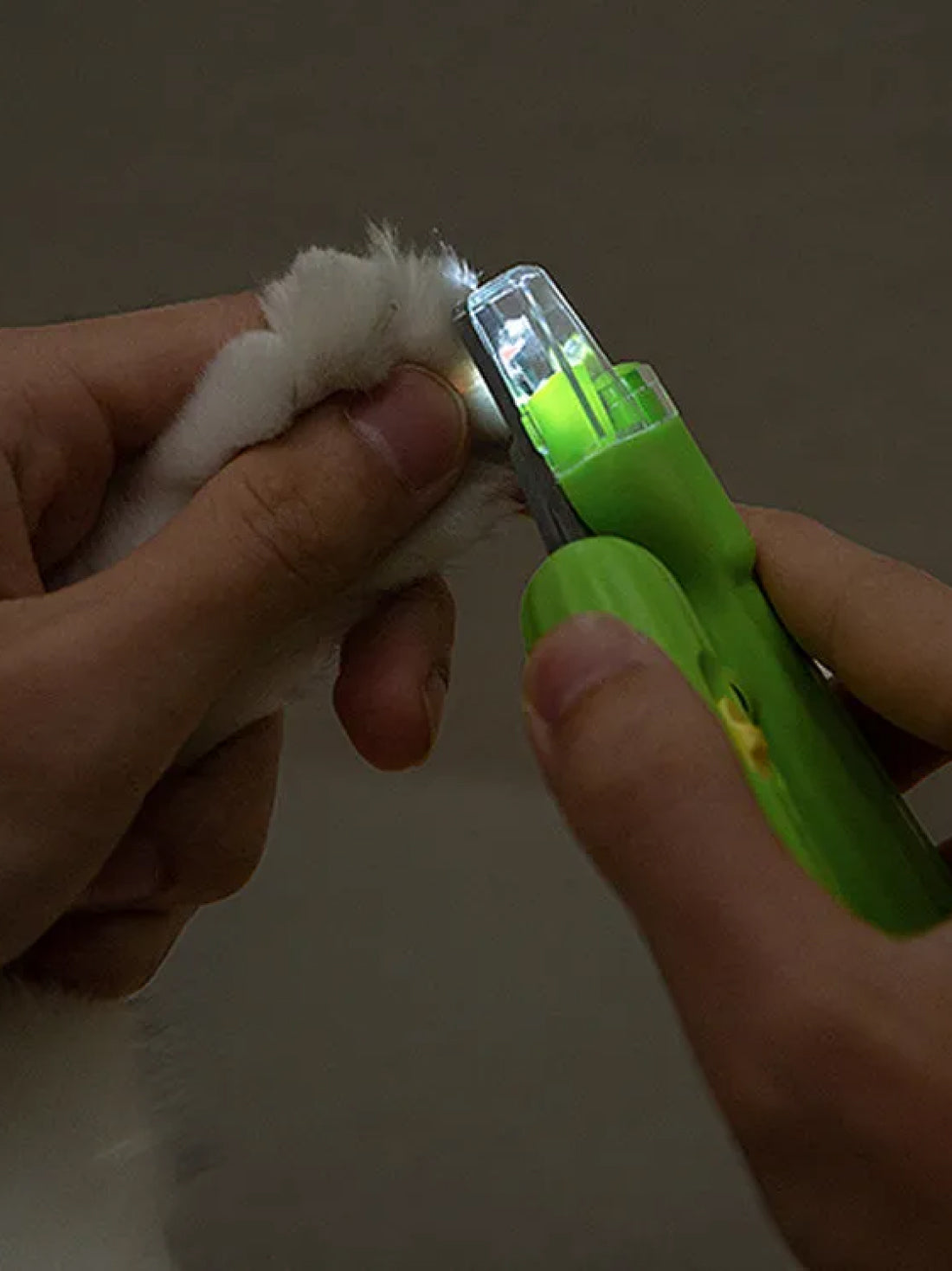 LED Pet Nail Clipper - Cactus