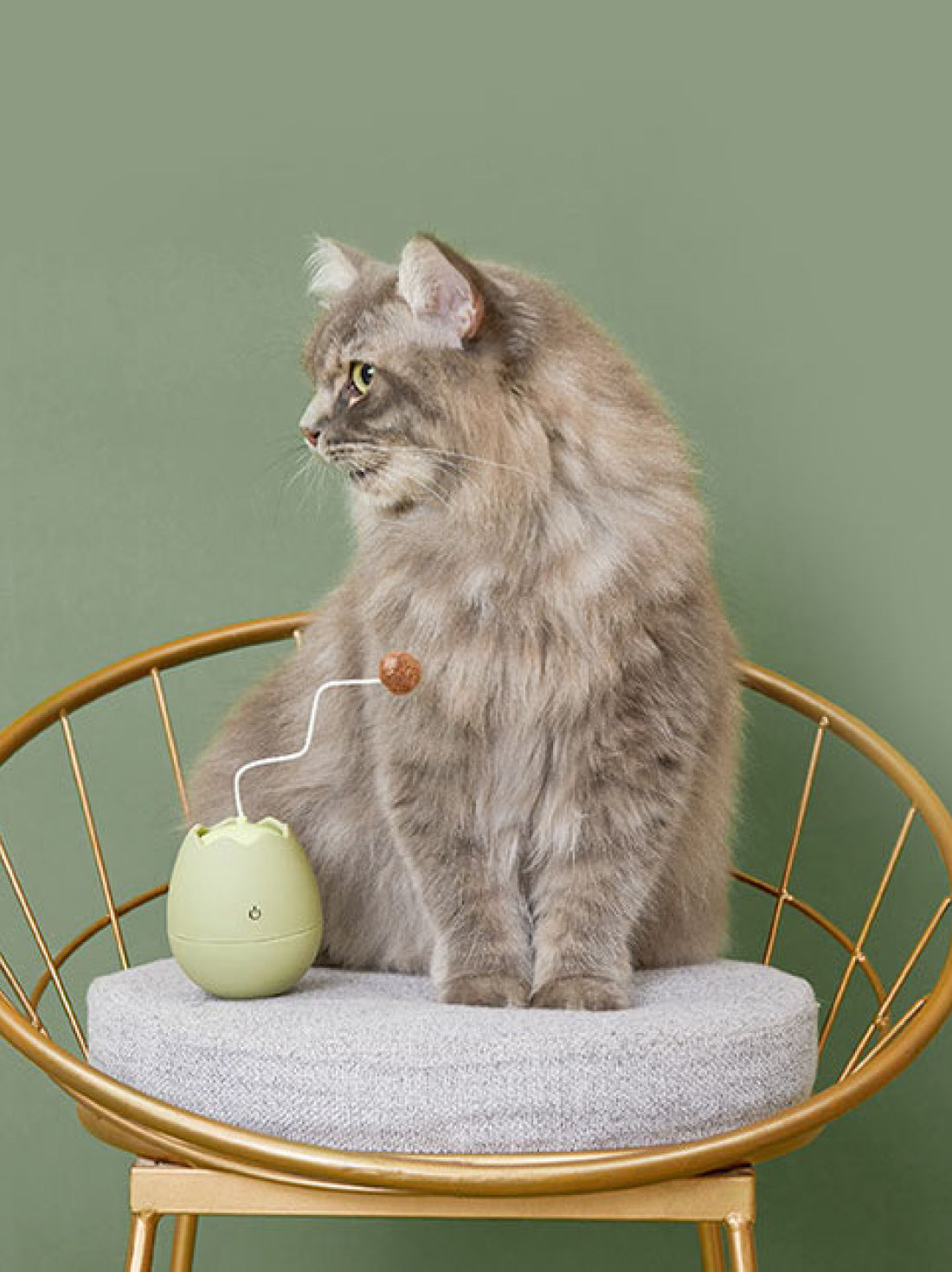 Cat toy Egg