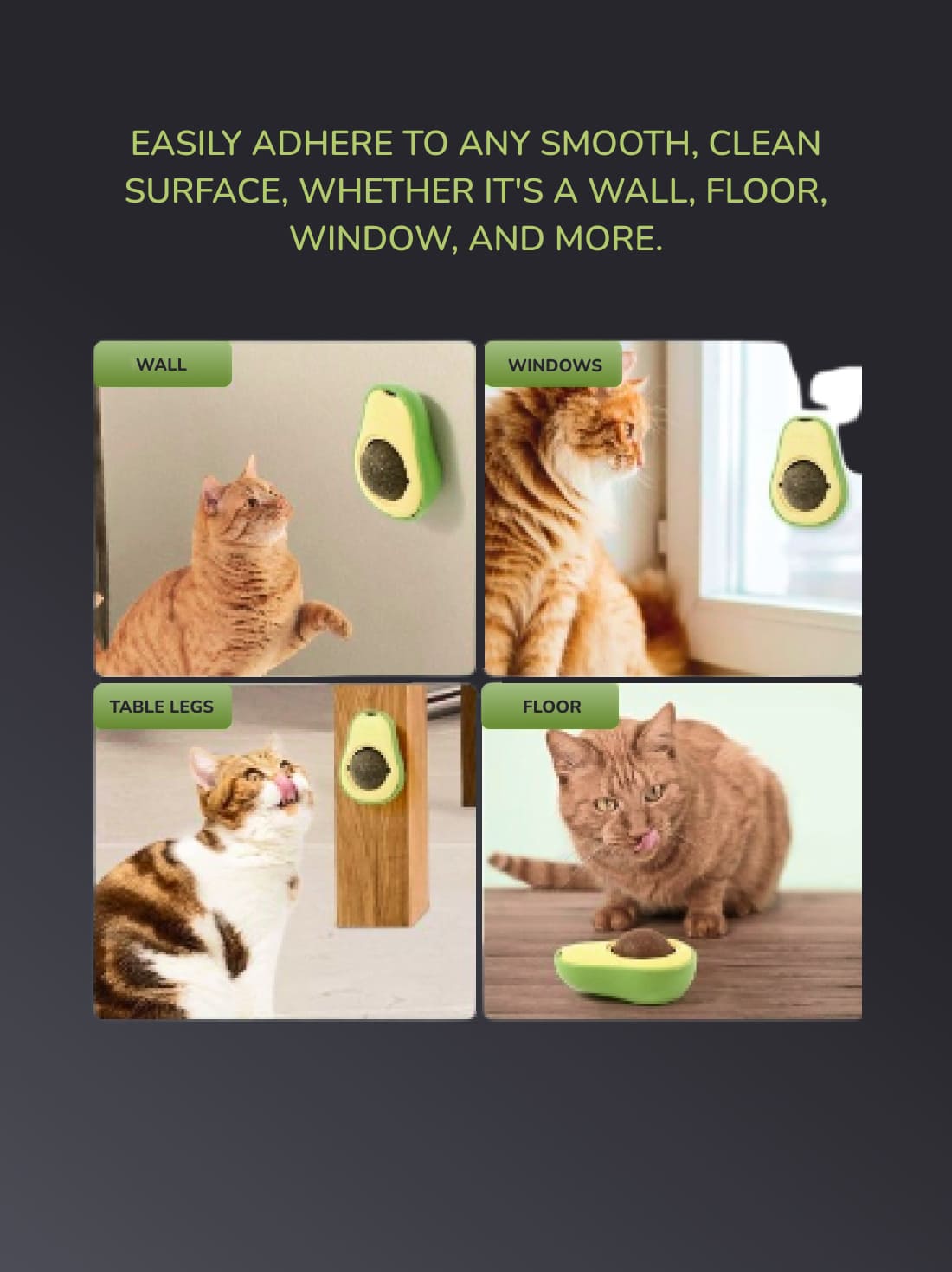 Cat Treat Wall Toy with Natural Organic Catnip