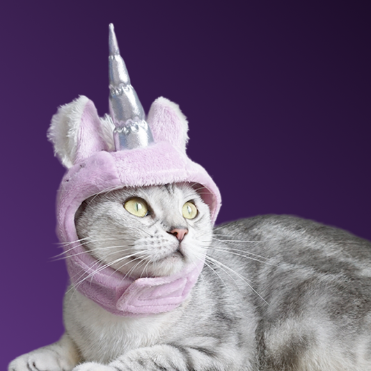 Adorable Unicorn Hat