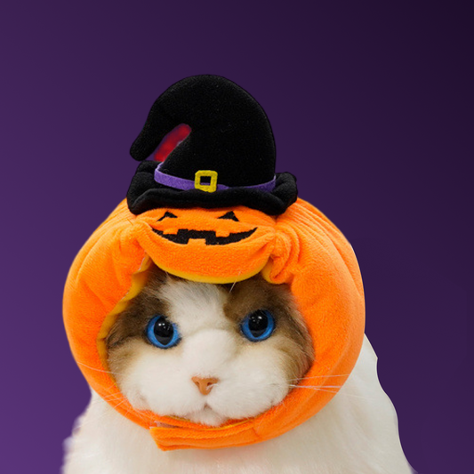 Funny Pumpkin Hat