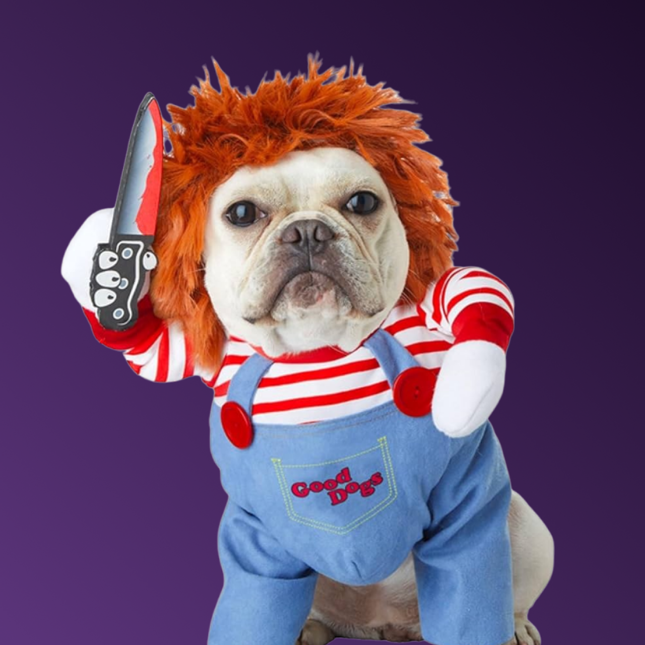 Chucky Dog Costume