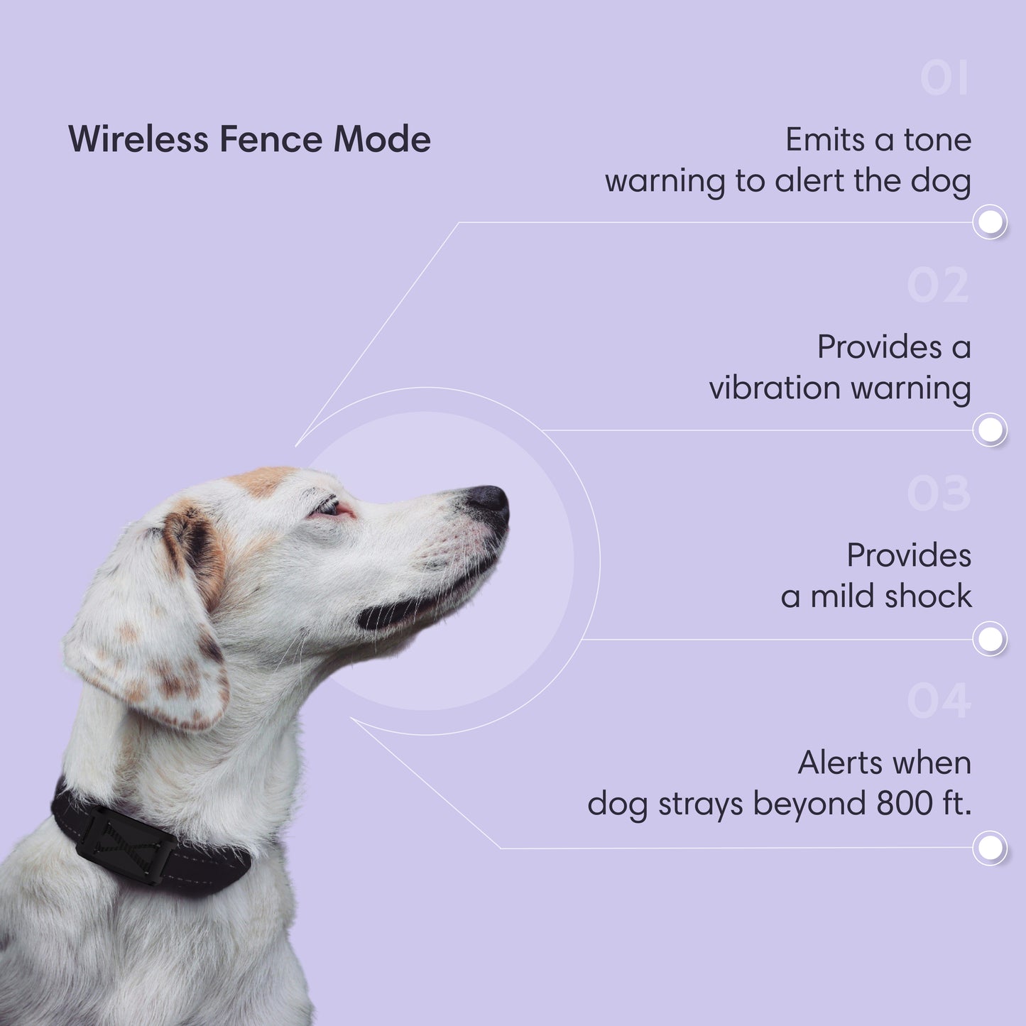 The Best Wireless Dog GPS Fence System