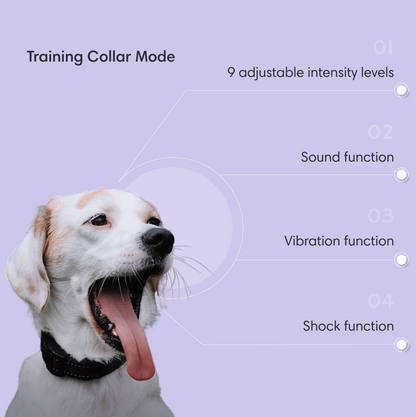 The Best Wireless Dog GPS Fence System