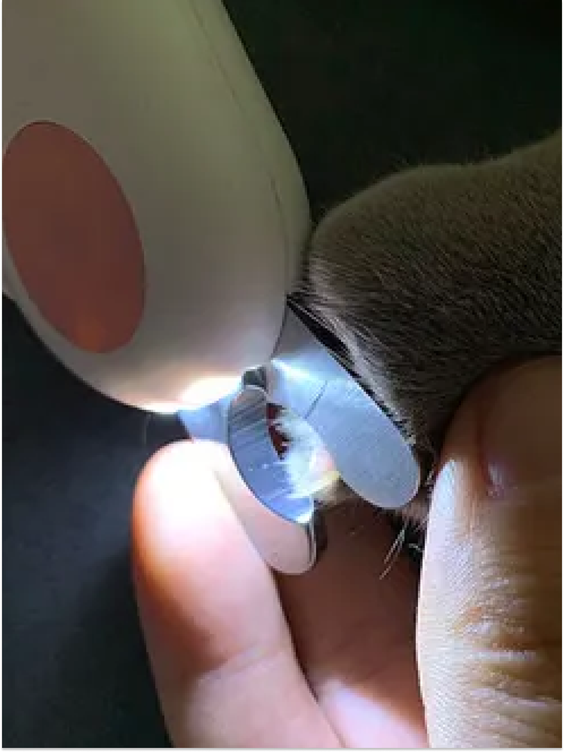 Pet Nail Clipper