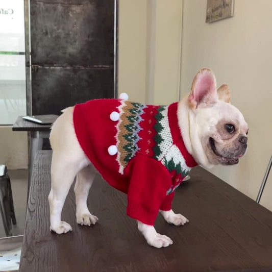 Red Wool Pet Sweater