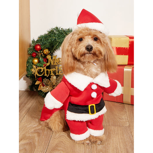 Funny Santa Claus Costume